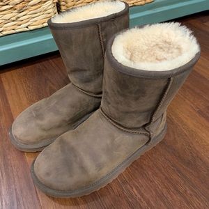 UGG Classic Short Boot Brown 7
